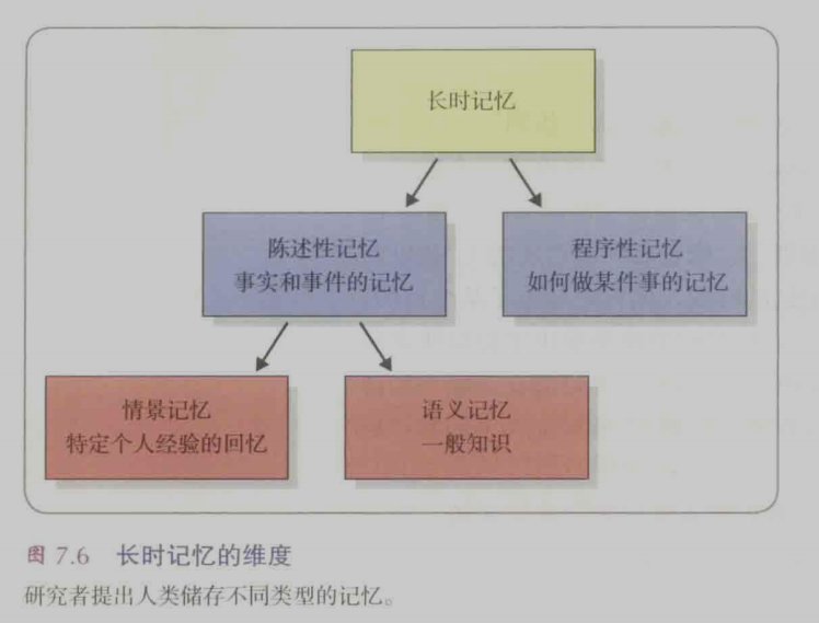 长时记忆的维度.png